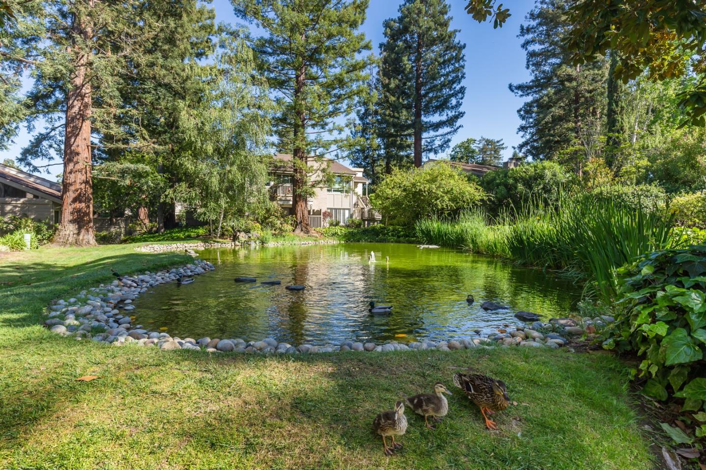 Detail Gallery Image 25 of 36 For 19414 Vineyard Ln, Saratoga,  CA 95070 - 3 Beds | 2/1 Baths