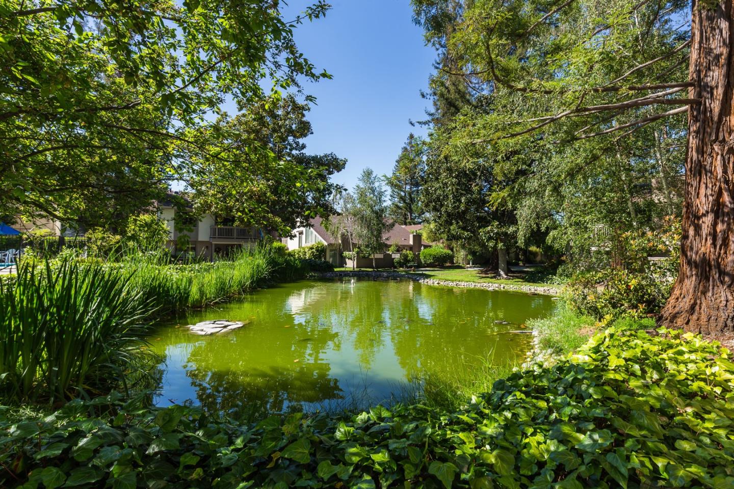 Detail Gallery Image 26 of 36 For 19414 Vineyard Ln, Saratoga,  CA 95070 - 3 Beds | 2/1 Baths