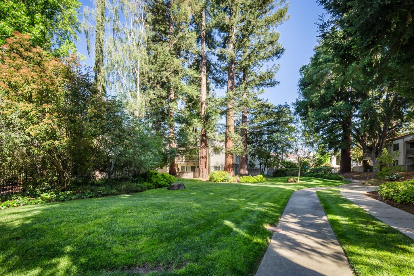 Detail Gallery Image 27 of 36 For 19414 Vineyard Ln, Saratoga,  CA 95070 - 3 Beds | 2/1 Baths