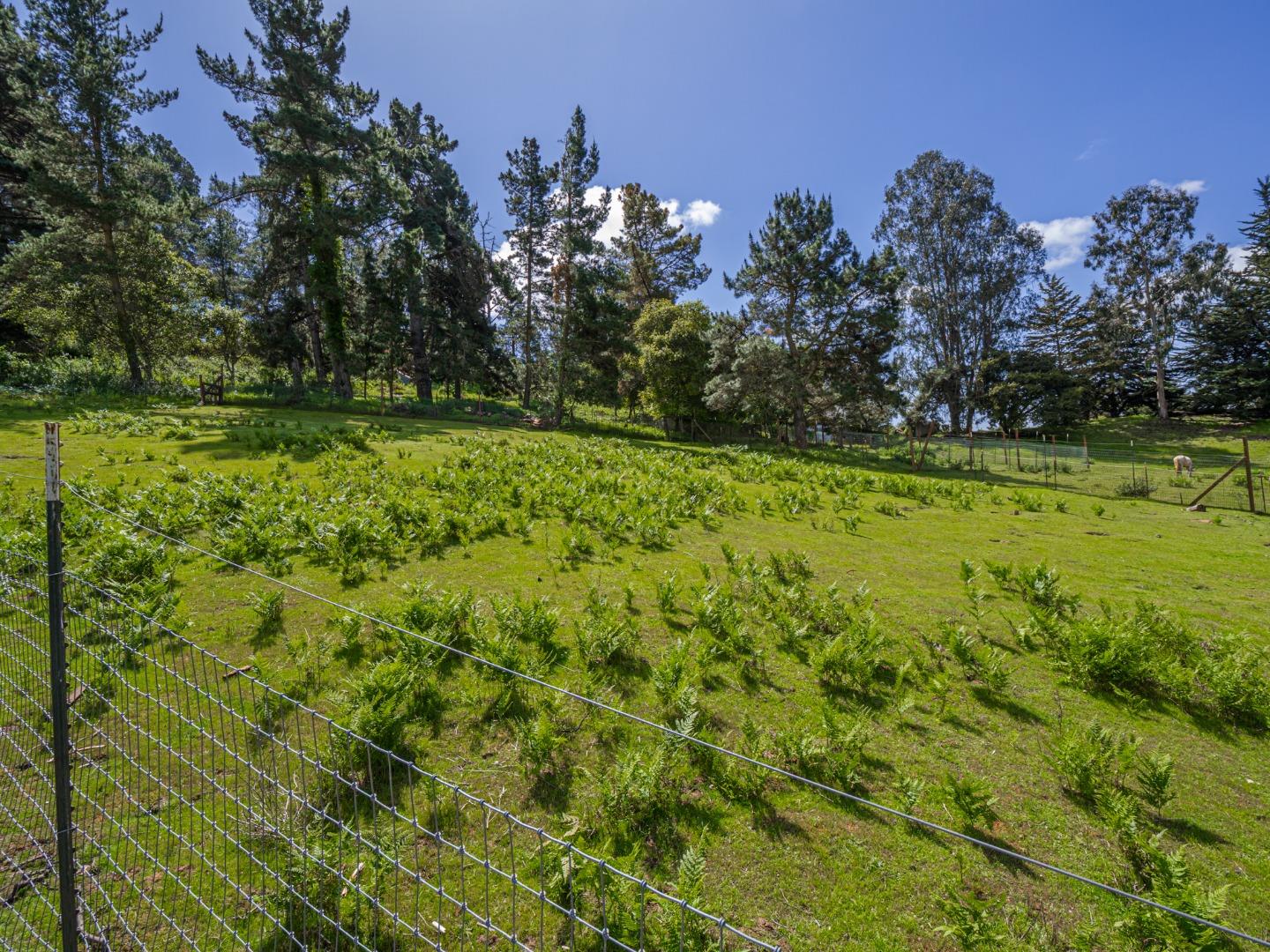 Detail Gallery Image 29 of 91 For 20150 Tarawild Ct, Prunedale,  CA 93907 - 3 Beds | 2/1 Baths