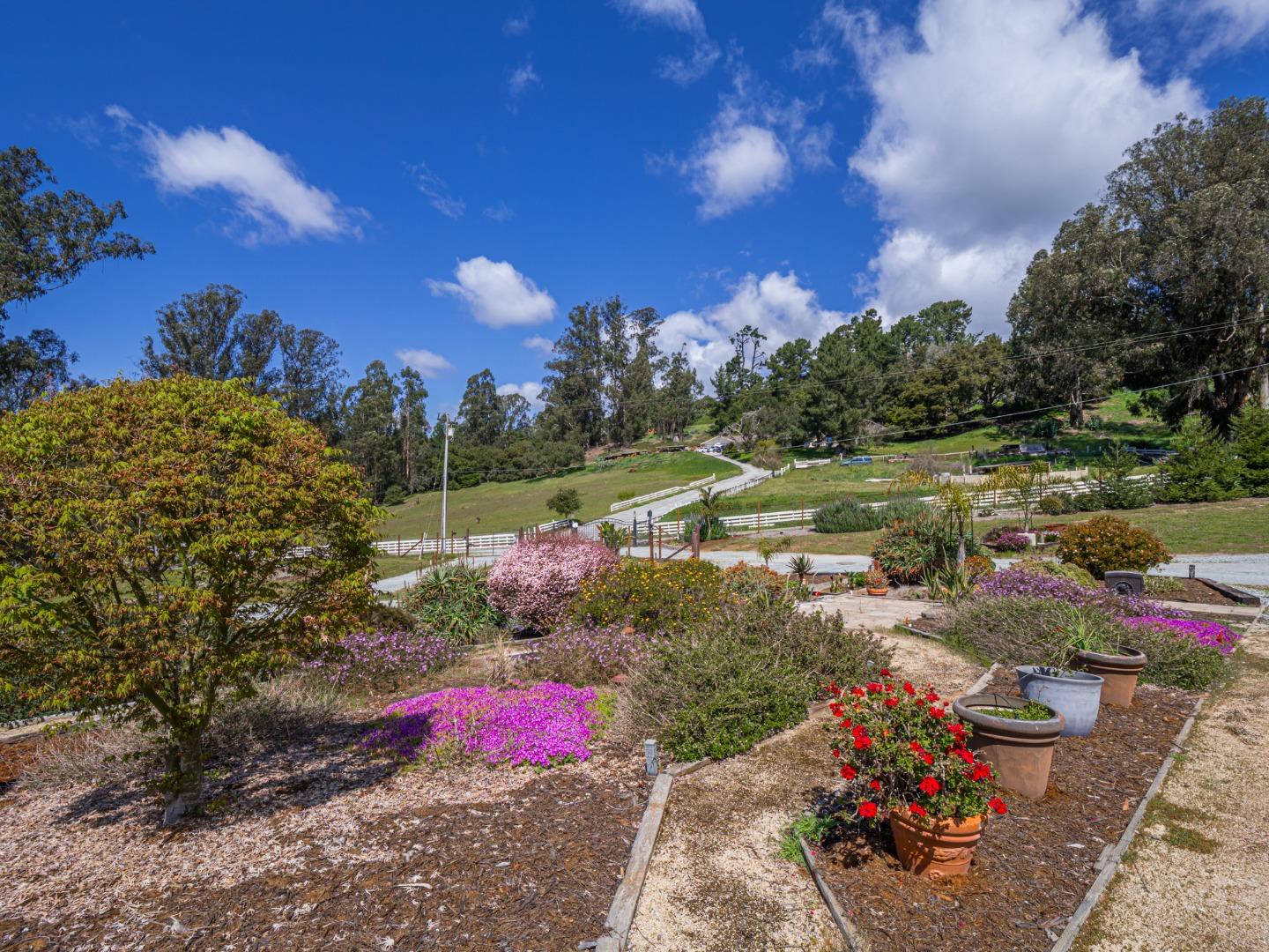 Detail Gallery Image 9 of 91 For 20150 Tarawild Ct, Prunedale,  CA 93907 - 3 Beds | 2/1 Baths