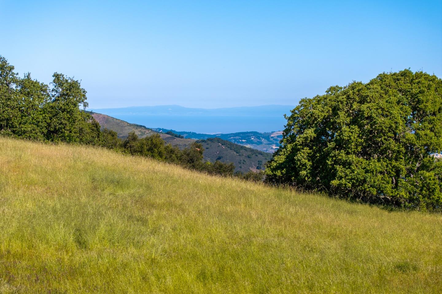 Detail Gallery Image 11 of 26 For 24 Vasquez Trl, Carmel,  CA 93923 - – Beds | – Baths