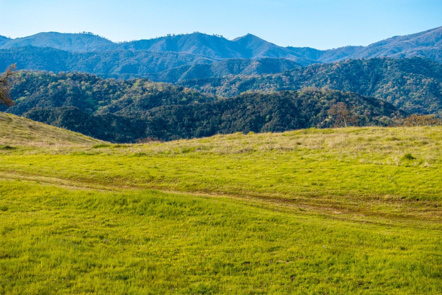 Detail Gallery Image 5 of 26 For 24 Vasquez Trl, Carmel,  CA 93923 - – Beds | – Baths