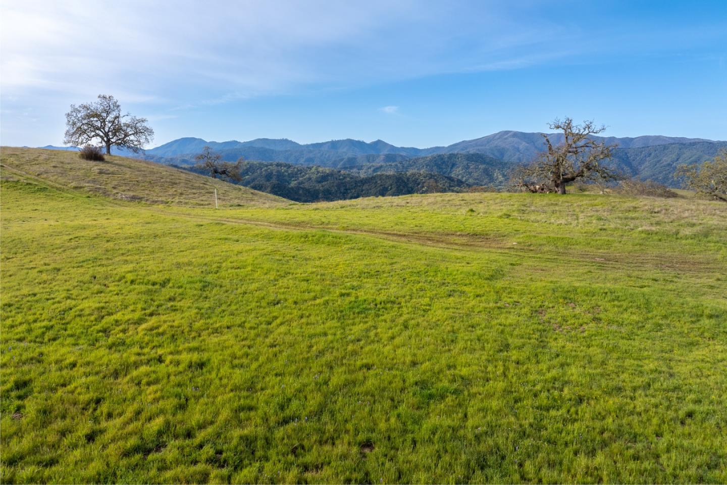 Detail Gallery Image 7 of 26 For 24 Vasquez Trl, Carmel,  CA 93923 - – Beds | – Baths