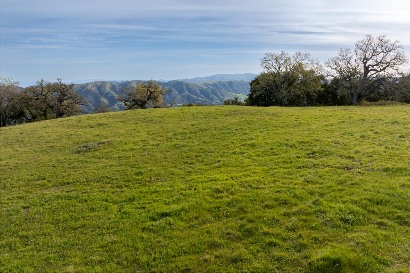 Detail Gallery Image 8 of 26 For 24 Vasquez Trl, Carmel,  CA 93923 - – Beds | – Baths