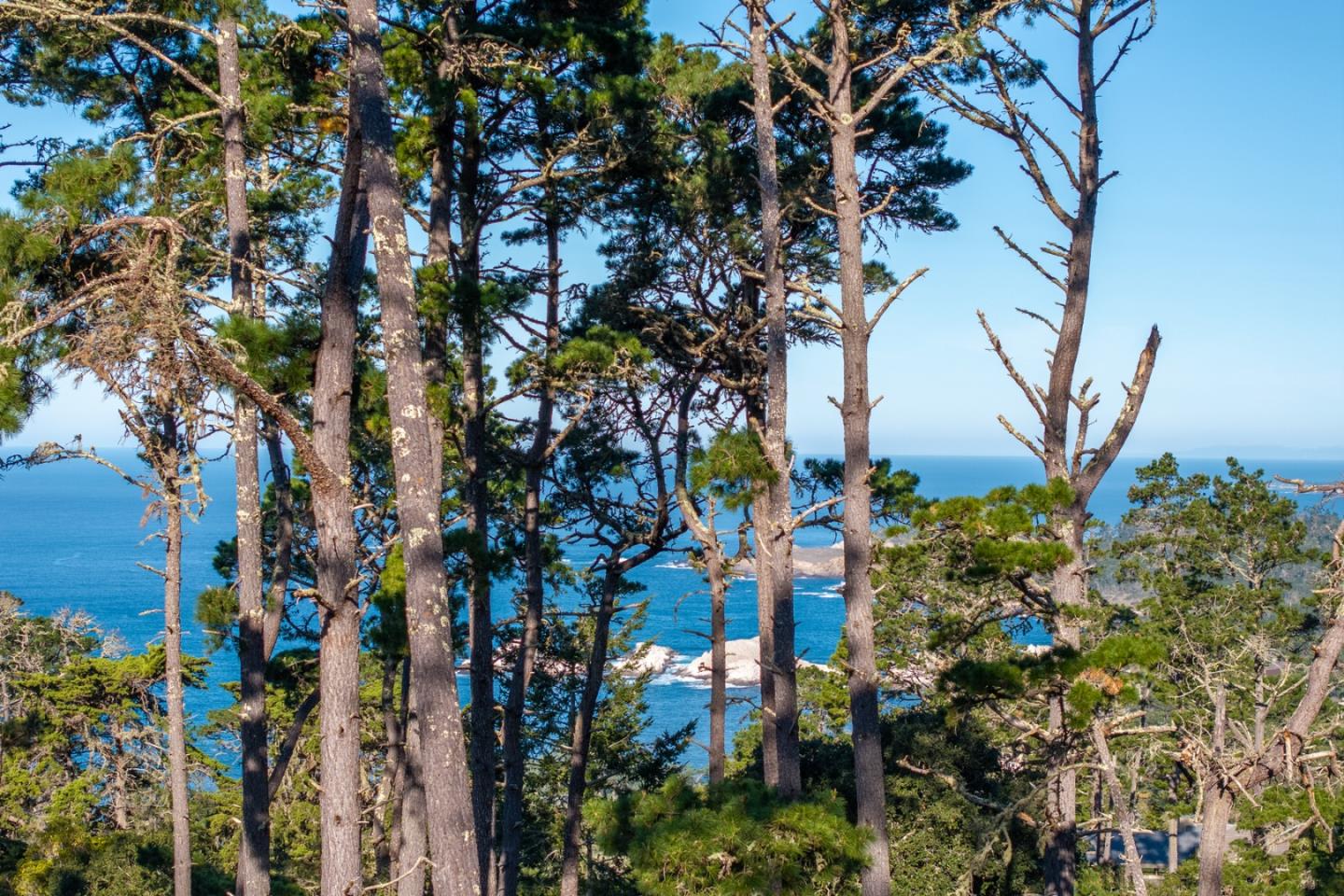 Detail Gallery Image 2 of 8 For 90 Crest Road, Carmel,  CA 93923 - – Beds | – Baths