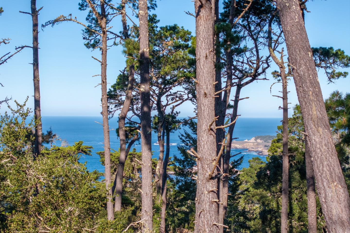 Detail Gallery Image 3 of 8 For 90 Crest Road, Carmel,  CA 93923 - – Beds | – Baths