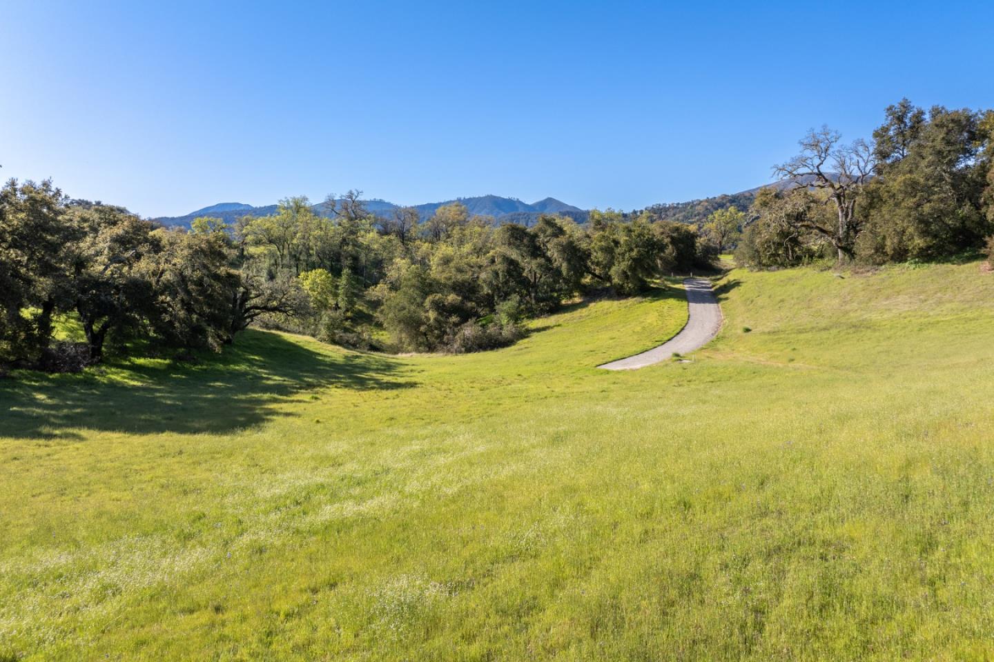 Detail Gallery Image 5 of 23 For 7 Long Ridge, Carmel,  CA 93923 - – Beds | – Baths