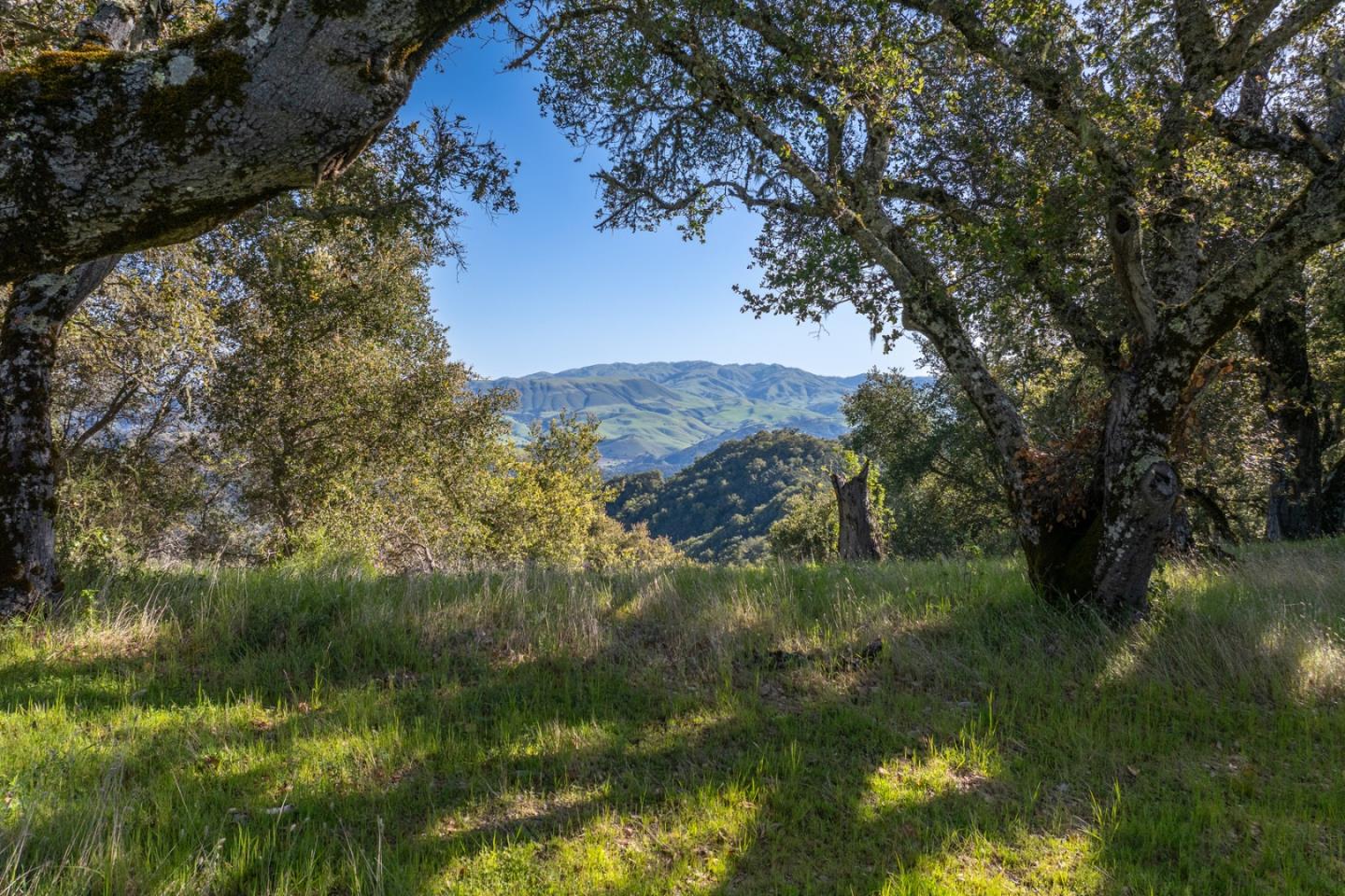 Detail Gallery Image 6 of 23 For 7 Long Ridge, Carmel,  CA 93923 - – Beds | – Baths