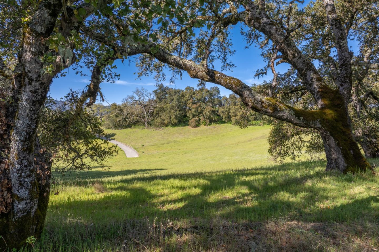 Detail Gallery Image 8 of 23 For 7 Long Ridge, Carmel,  CA 93923 - – Beds | – Baths