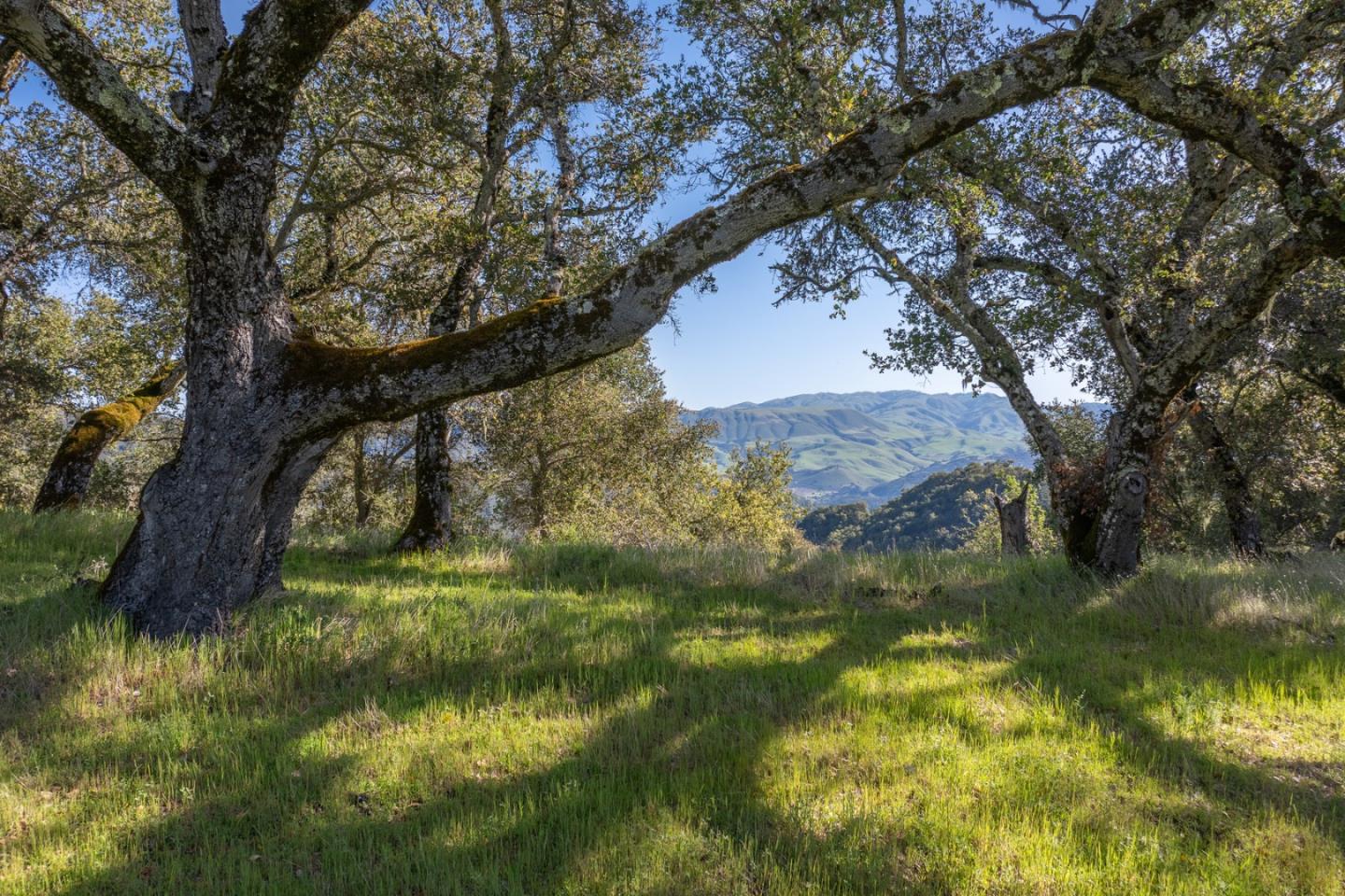 Detail Gallery Image 9 of 23 For 7 Long Ridge, Carmel,  CA 93923 - – Beds | – Baths