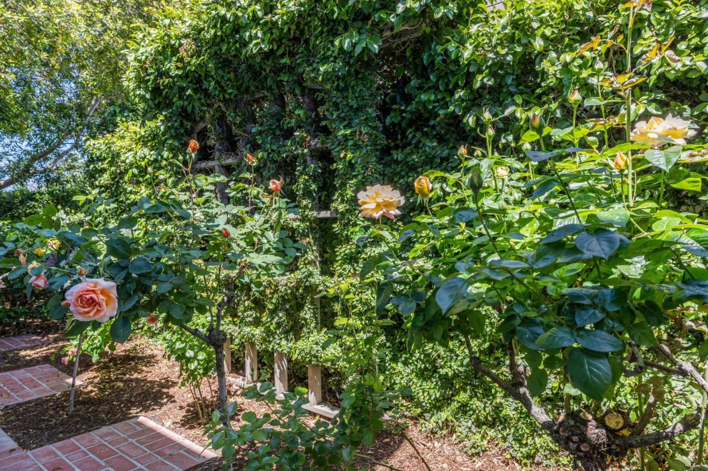 Detail Gallery Image 82 of 86 For 1714 Sweetbriar Dr, San Jose,  CA 95125 - 4 Beds | 2/1 Baths