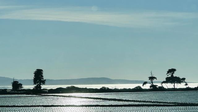 Detail Gallery Image 10 of 12 For 00 Bluff Rd, Moss Landing,  CA 95039 - – Beds | – Baths