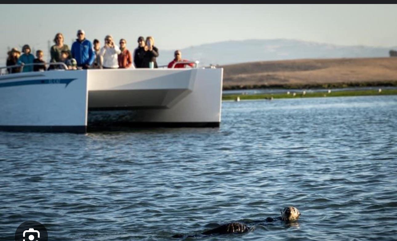 Detail Gallery Image 12 of 12 For 00 Bluff Rd, Moss Landing,  CA 95039 - – Beds | – Baths