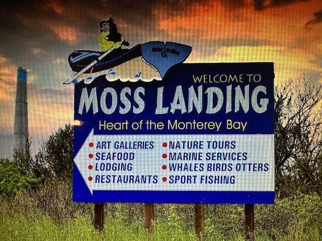 Detail Gallery Image 7 of 12 For 00 Bluff Rd, Moss Landing,  CA 95039 - – Beds | – Baths