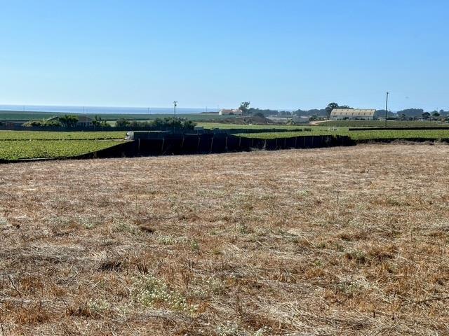 Detail Gallery Image 8 of 12 For 00 Bluff Rd, Moss Landing,  CA 95039 - – Beds | – Baths