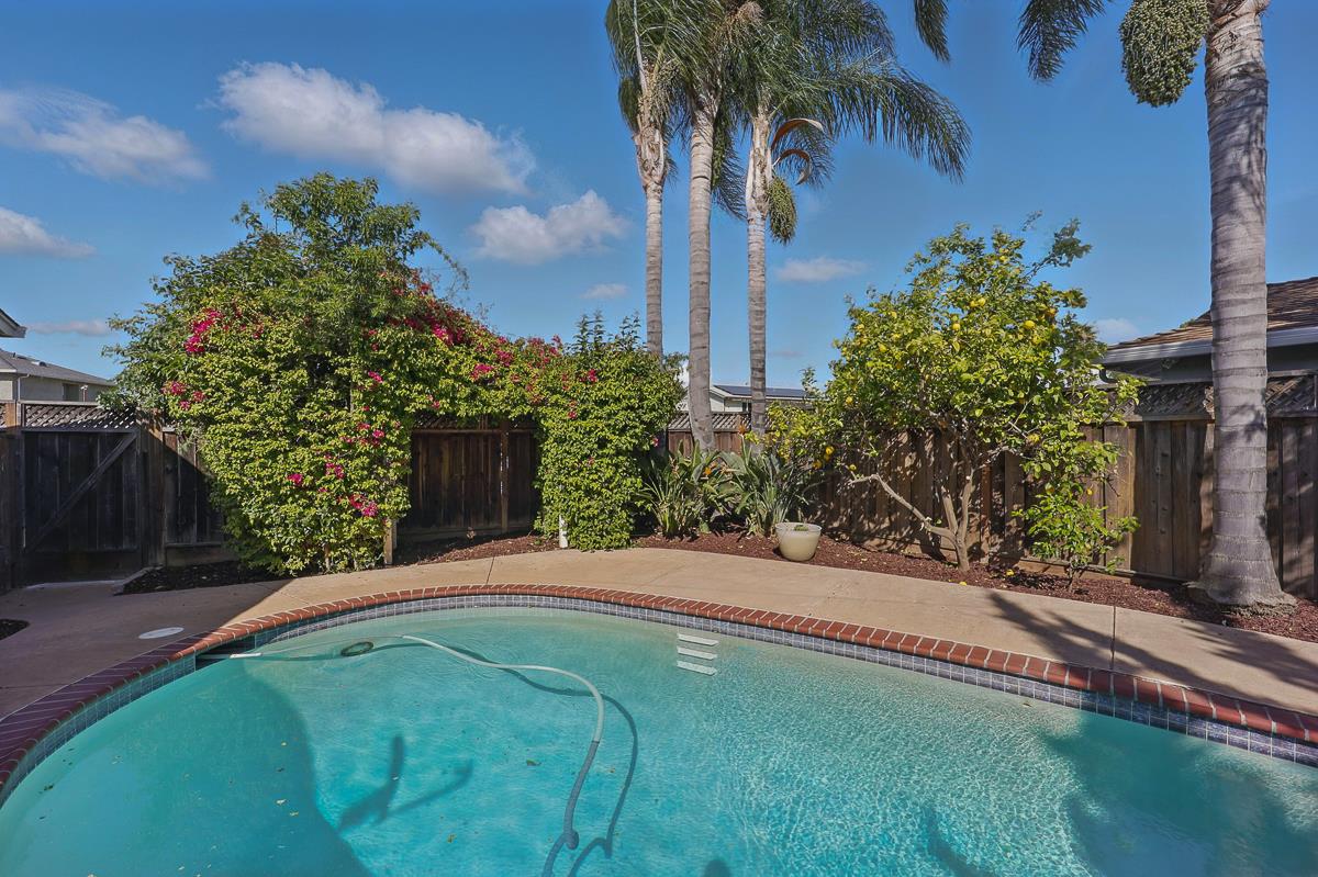 Detail Gallery Image 49 of 64 For 4510 Calaveras Ave, Fremont,  CA 94538 - 3 Beds | 2 Baths