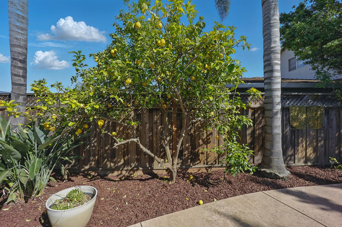 Detail Gallery Image 51 of 64 For 4510 Calaveras Ave, Fremont,  CA 94538 - 3 Beds | 2 Baths