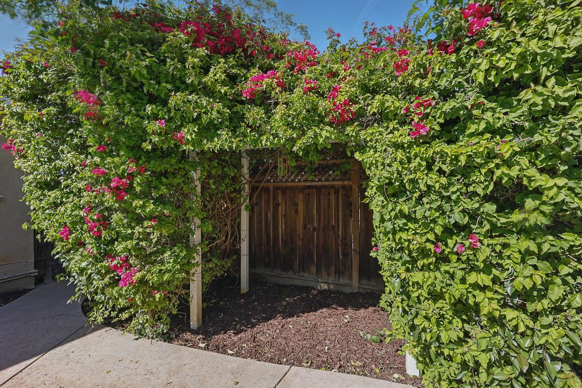 Detail Gallery Image 52 of 64 For 4510 Calaveras Ave, Fremont,  CA 94538 - 3 Beds | 2 Baths