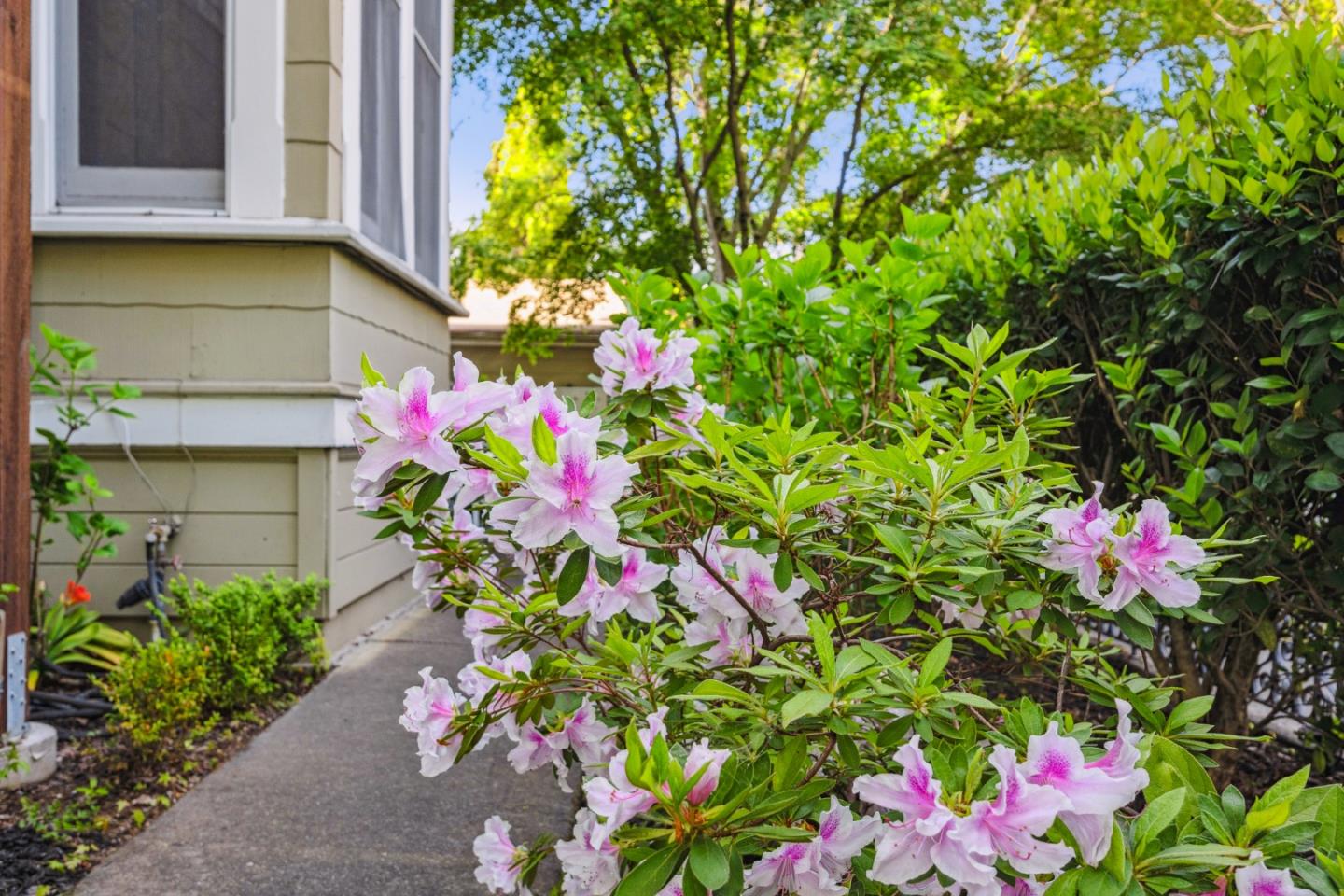 Detail Gallery Image 33 of 51 For 1645 Main St, Napa,  CA 94559 - – Beds | – Baths