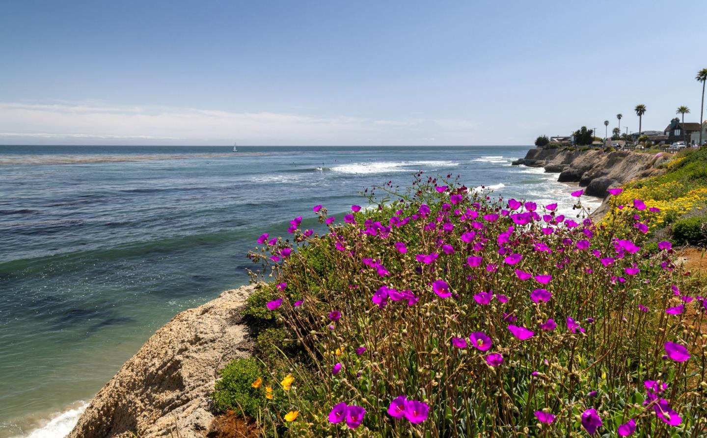 Detail Gallery Image 53 of 62 For 355 30th Ave, Santa Cruz,  CA 95062 - 4 Beds | 3/1 Baths