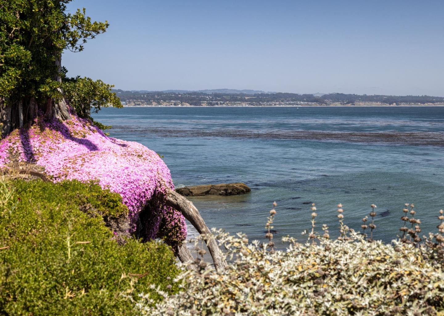 Detail Gallery Image 54 of 62 For 355 30th Ave, Santa Cruz,  CA 95062 - 4 Beds | 3/1 Baths