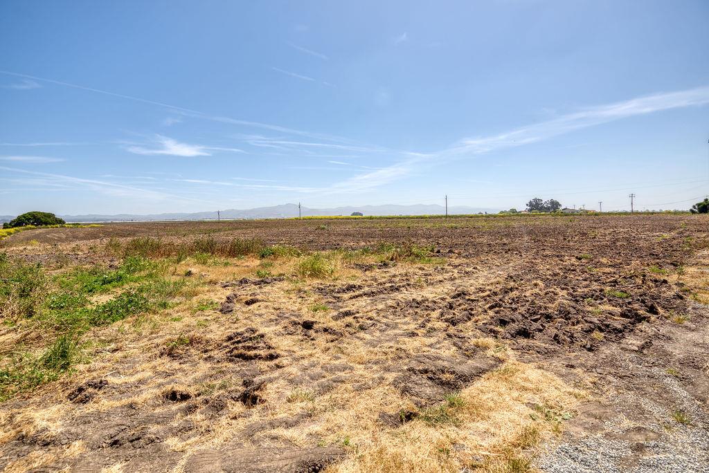 Detail Gallery Image 19 of 30 For 156 San Jon Rd, Salinas,  CA 93907 - 3 Beds | 2 Baths
