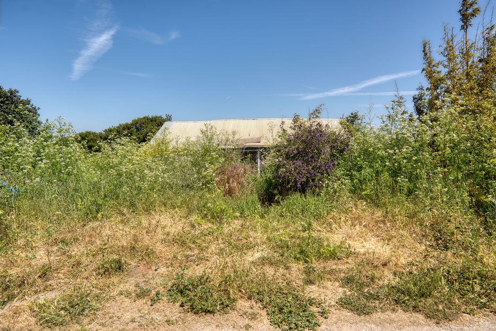 Detail Gallery Image 25 of 30 For 156 San Jon Rd, Salinas,  CA 93907 - 3 Beds | 2 Baths