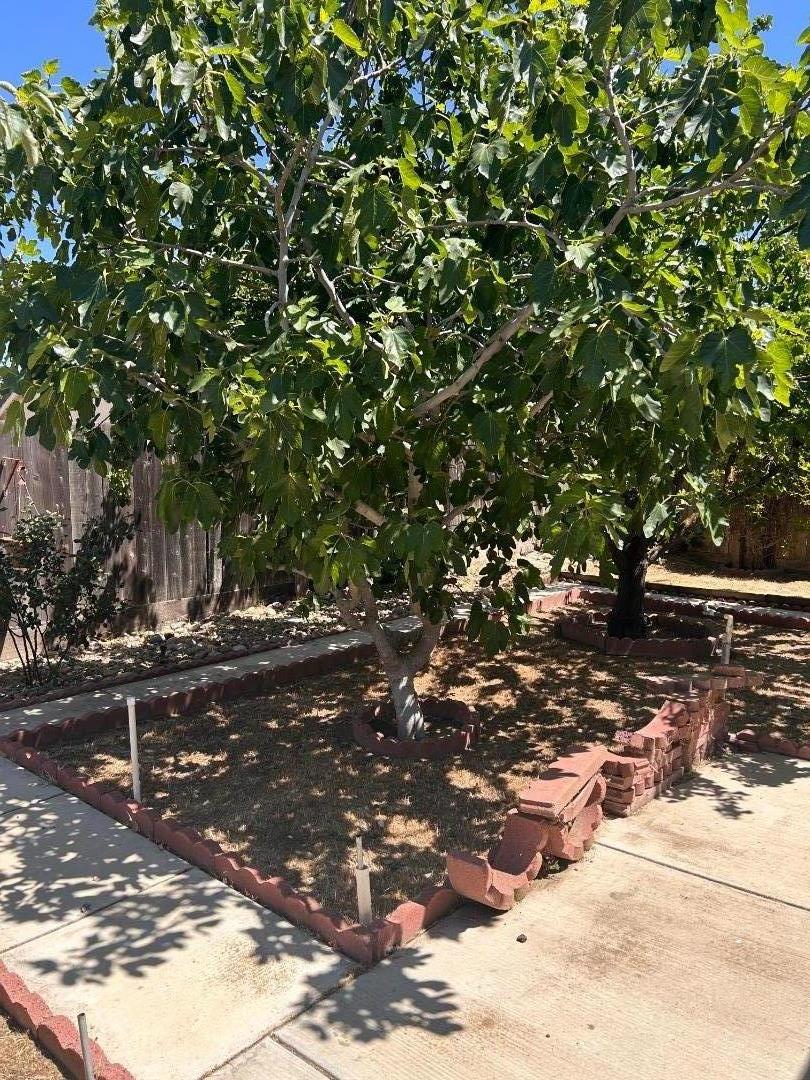 Detail Gallery Image 50 of 57 For 754 Meadowlark Ave, Los Banos,  CA 93635 - 2 Beds | 2 Baths