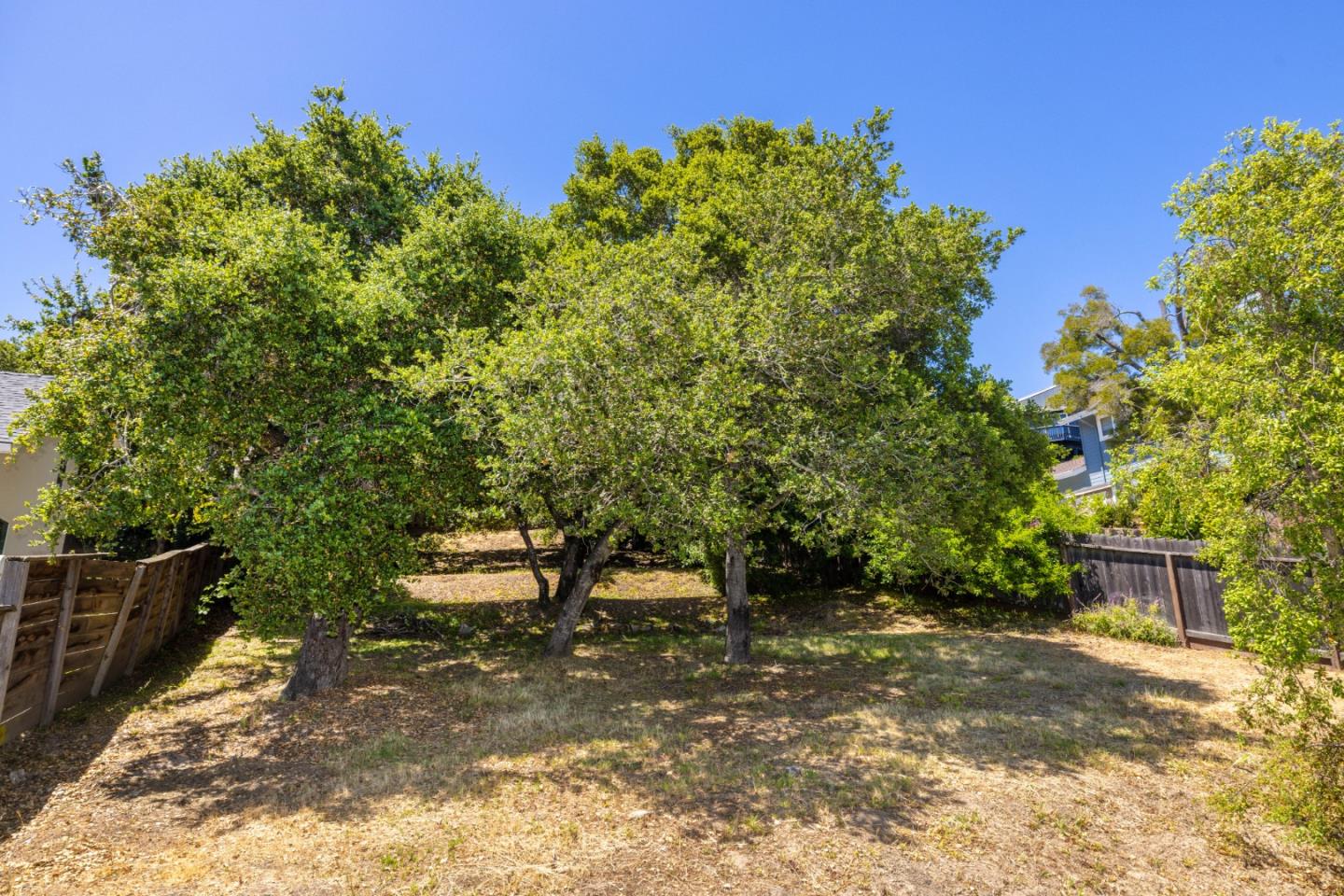 Detail Gallery Image 38 of 51 For 732 Alameda De Las Pulgas, Belmont,  CA 94002 - 3 Beds | 2 Baths