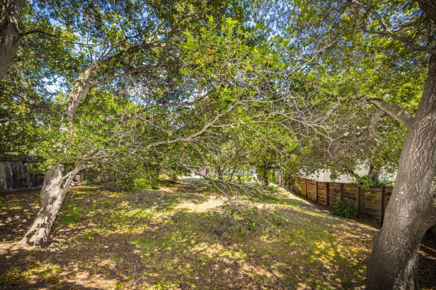 Detail Gallery Image 41 of 51 For 732 Alameda De Las Pulgas, Belmont,  CA 94002 - 3 Beds | 2 Baths
