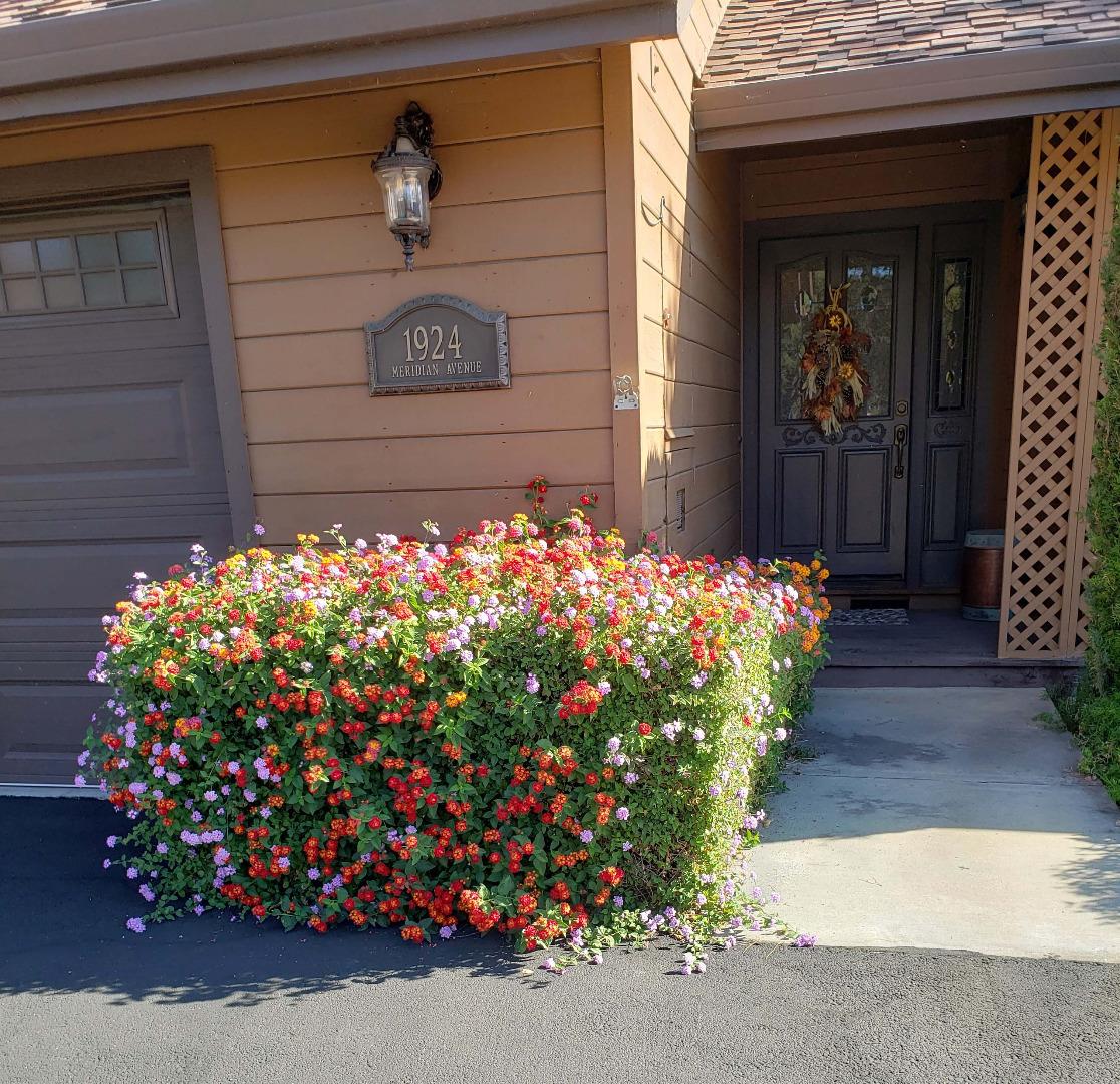 Detail Gallery Image 3 of 49 For 1924 Meridian Ave, San Jose,  CA 95125 - 2 Beds | 2/1 Baths