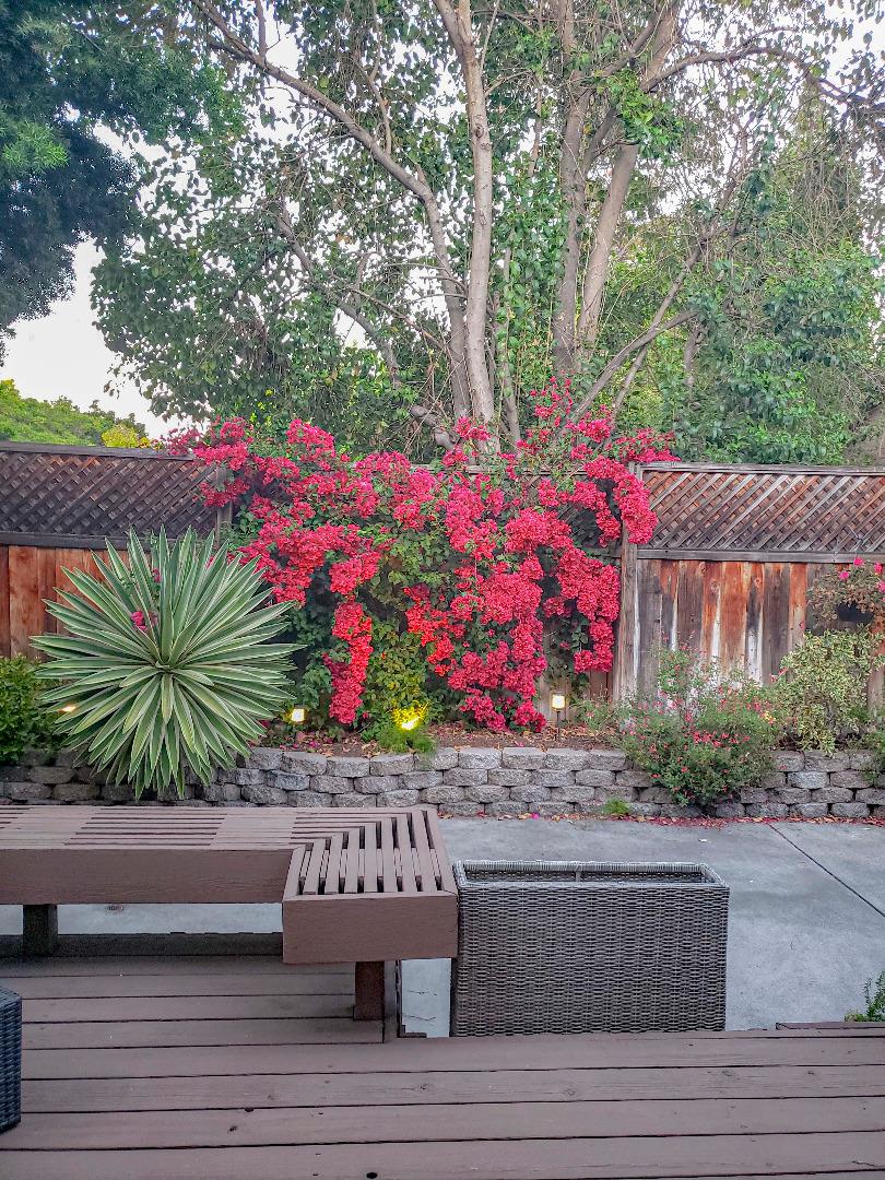 Detail Gallery Image 49 of 49 For 1924 Meridian Ave, San Jose,  CA 95125 - 2 Beds | 2/1 Baths
