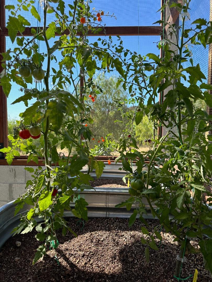 Detail Gallery Image 44 of 54 For 17755 Corral Del Cielo Rd, Corral De Tierra,  CA 93908 - 4 Beds | 2/1 Baths