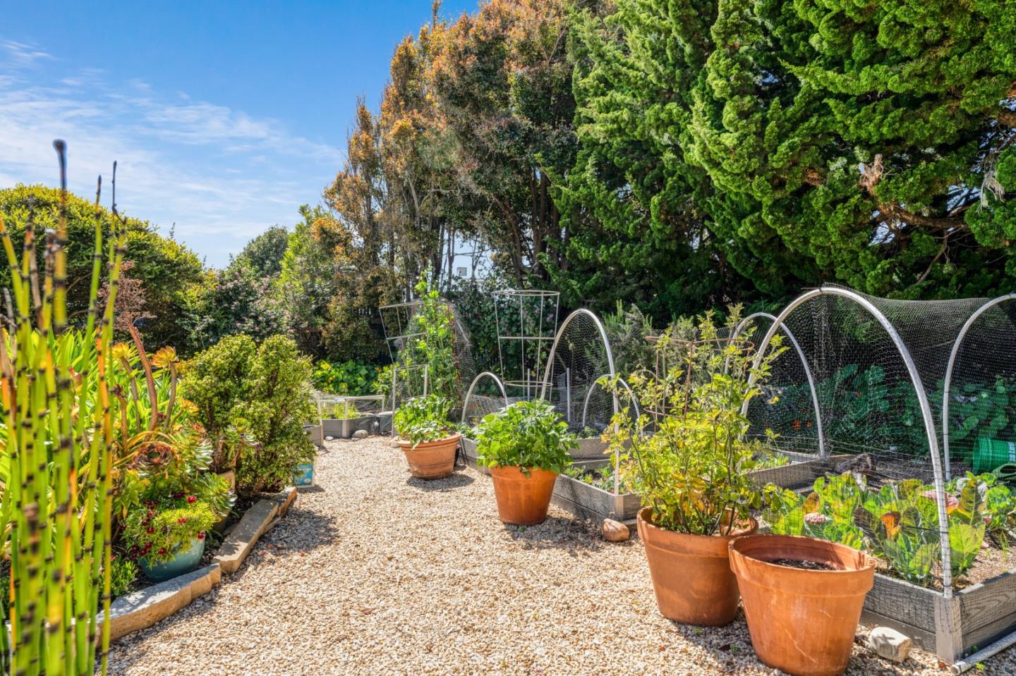 Detail Gallery Image 32 of 38 For 880 West Cliff Dr #9,  Santa Cruz,  CA 95060 - 1 Beds | 1 Baths