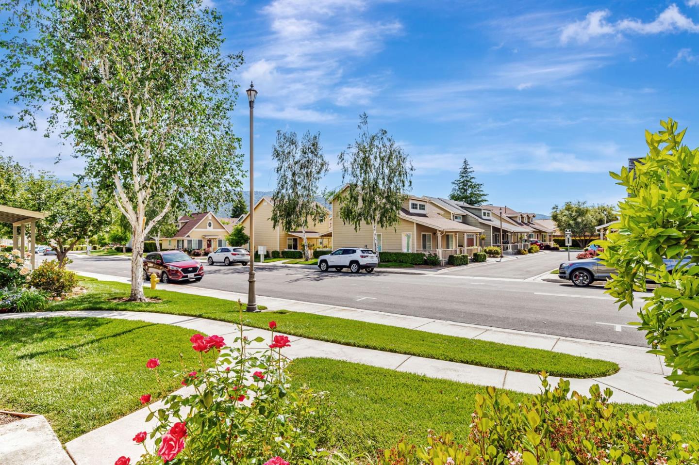 Detail Gallery Image 42 of 67 For 1554 Rosette Way, Gilroy,  CA 95020 - 3 Beds | 2 Baths