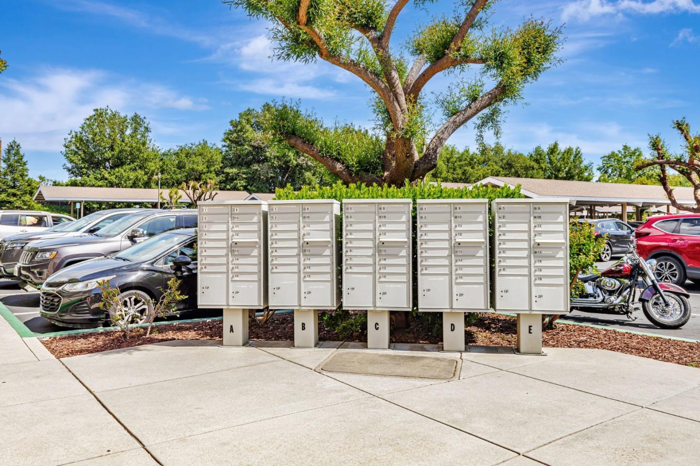 Detail Gallery Image 45 of 67 For 1554 Rosette Way, Gilroy,  CA 95020 - 3 Beds | 2 Baths