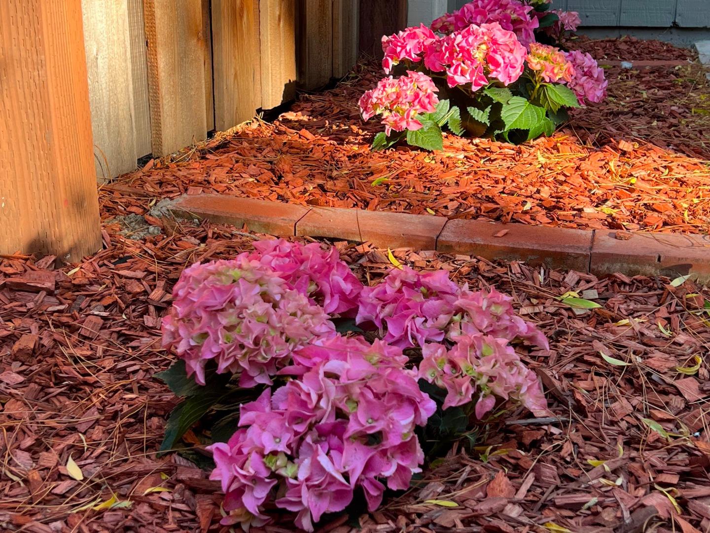 Detail Gallery Image 27 of 45 For 801 Ram Ln, Foster City,  CA 94404 - 3 Beds | 2/1 Baths