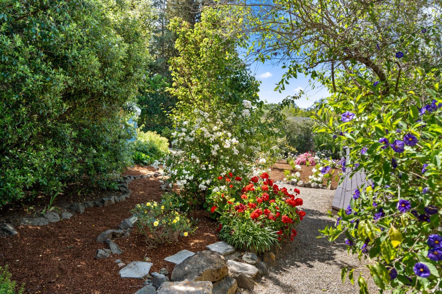 Detail Gallery Image 41 of 66 For 206 Frances Ln, Redwood City,  CA 94062 - 4 Beds | 2 Baths