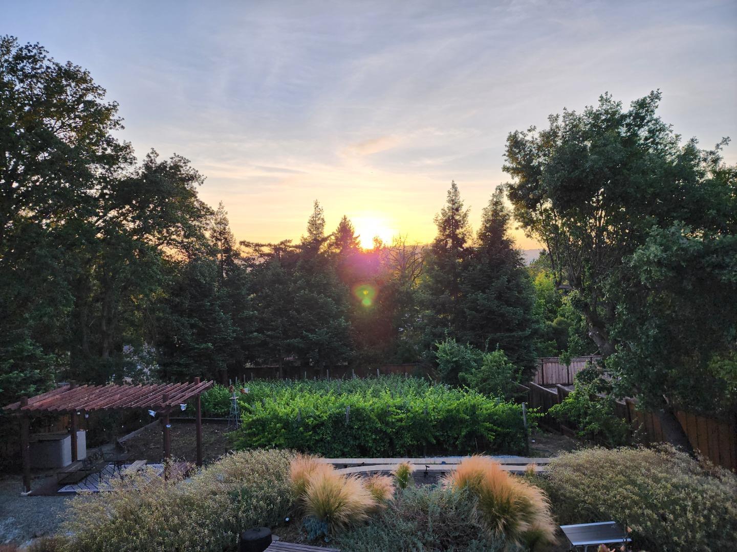 Detail Gallery Image 69 of 69 For 25 Adeline Dr, Walnut Creek,  CA 94596 - 4 Beds | 2/1 Baths