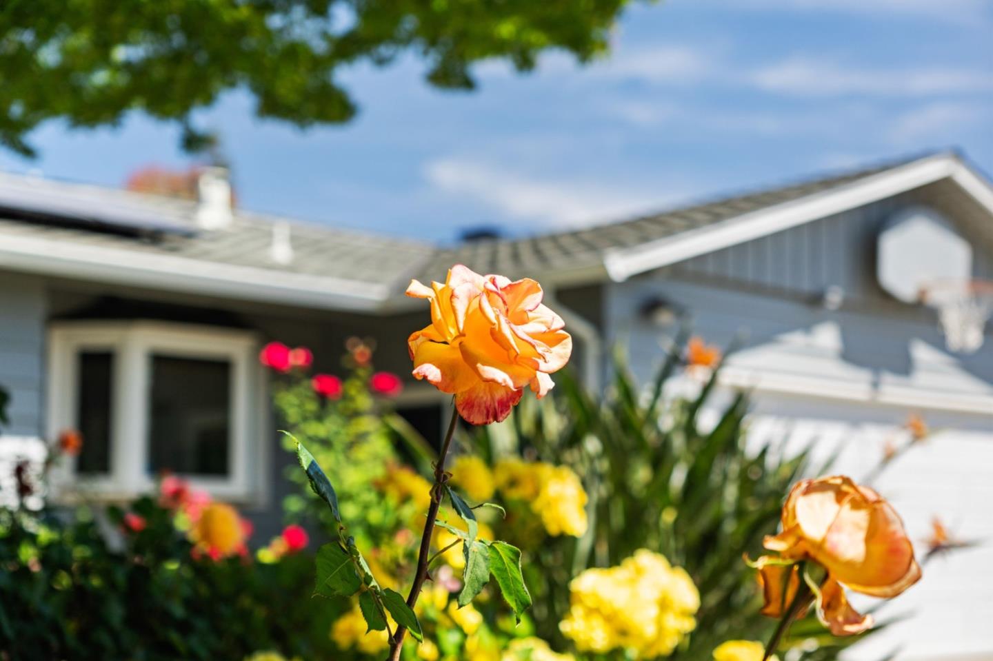 Detail Gallery Image 5 of 48 For 928 Longwood Ln, San Jose,  CA 95129 - 3 Beds | 2 Baths