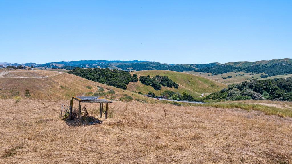 Detail Gallery Image 10 of 33 For 363 Orchard Hill Rd, San Juan Bautista,  CA 95045 - – Beds | – Baths