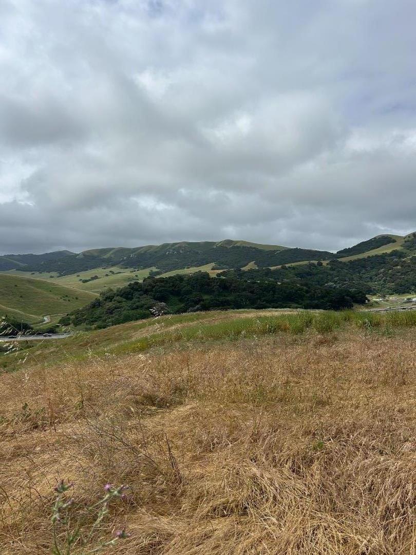 Detail Gallery Image 20 of 33 For 363 Orchard Hill Rd, San Juan Bautista,  CA 95045 - – Beds | – Baths