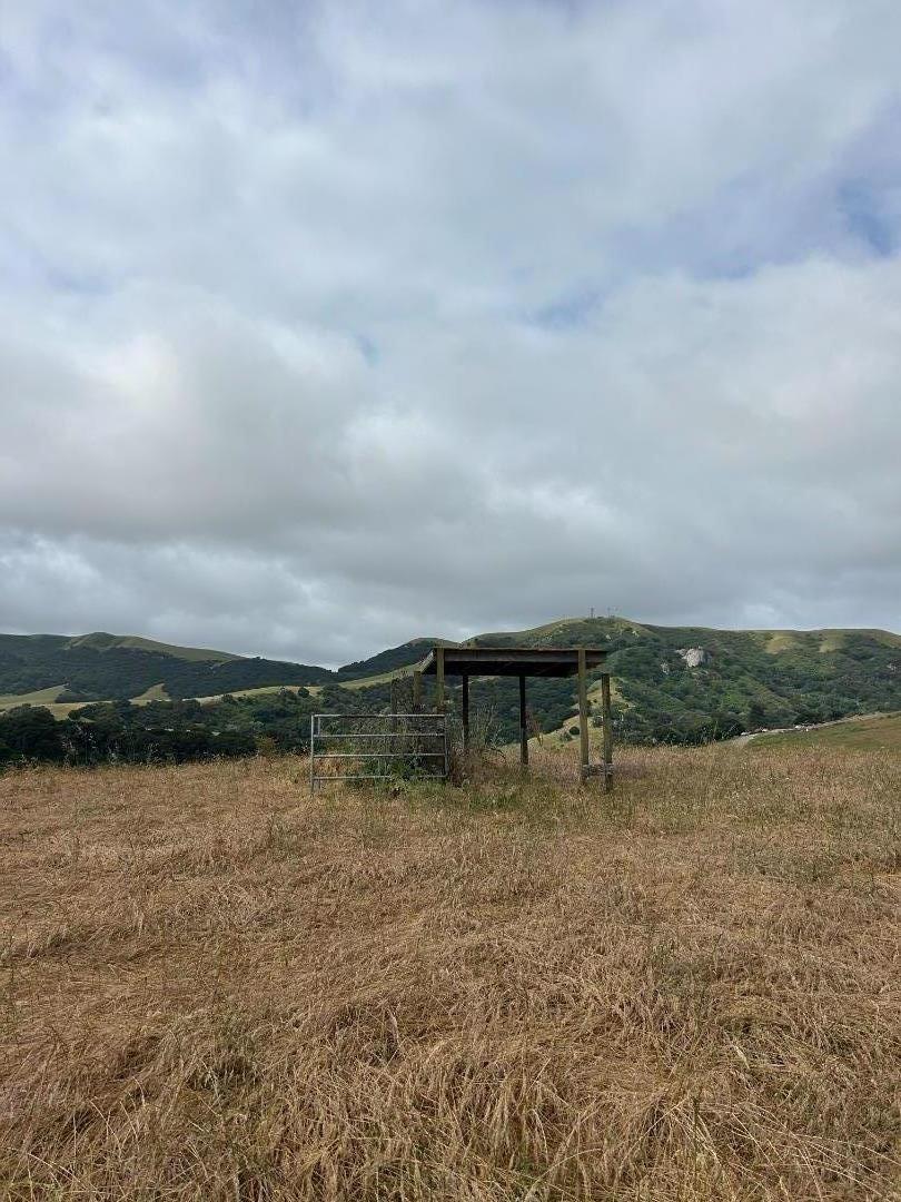 Detail Gallery Image 22 of 33 For 363 Orchard Hill Rd, San Juan Bautista,  CA 95045 - – Beds | – Baths