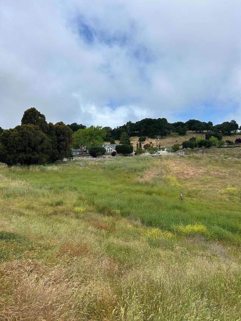 Detail Gallery Image 23 of 33 For 363 Orchard Hill Rd, San Juan Bautista,  CA 95045 - – Beds | – Baths