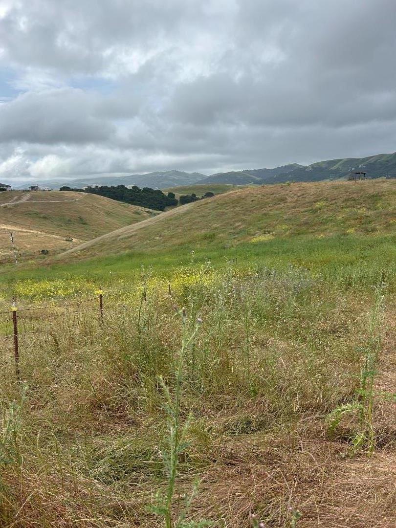 Detail Gallery Image 26 of 33 For 363 Orchard Hill Rd, San Juan Bautista,  CA 95045 - – Beds | – Baths