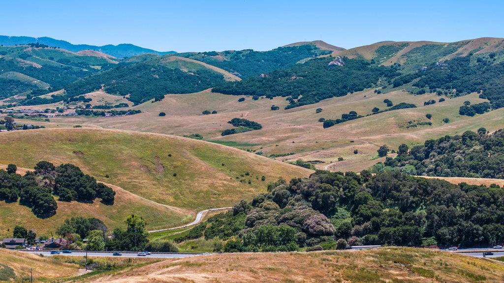 Detail Gallery Image 29 of 33 For 363 Orchard Hill Rd, San Juan Bautista,  CA 95045 - – Beds | – Baths