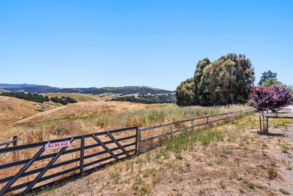 Detail Gallery Image 8 of 33 For 363 Orchard Hill Rd, San Juan Bautista,  CA 95045 - – Beds | – Baths