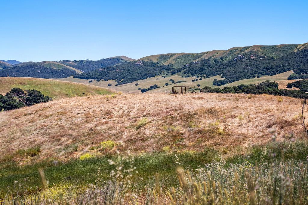 Detail Gallery Image 9 of 33 For 363 Orchard Hill Rd, San Juan Bautista,  CA 95045 - – Beds | – Baths