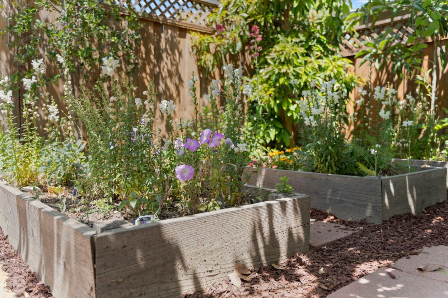 Detail Gallery Image 46 of 57 For 1193 Runnymede Dr, San Jose,  CA 95117 - 4 Beds | 2 Baths